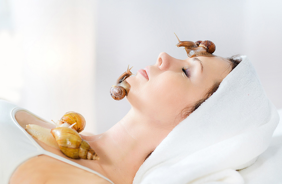 Snail Medi Facial in Bangalore